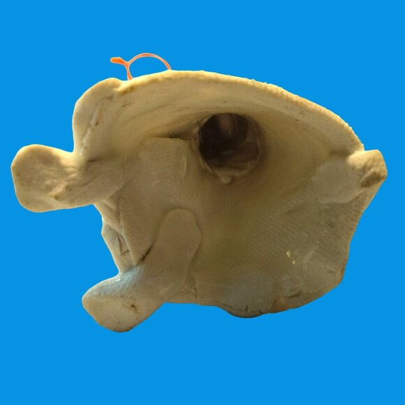 White Dog in Dress Bonnet Vintage Rustic Primitive Unique Ceramic Pinch Art OOAK - Picture 7 of 7